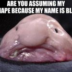 Blob Fish | ARE YOU ASSUMING MY SHAPE BECAUSE MY NAME IS BLOB | image tagged in blob fish | made w/ Imgflip meme maker