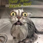 Wet Scary Cat | Your first french kiss! | image tagged in wet scary cat | made w/ Imgflip meme maker