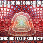 Feeling the vibe | WE ARE ALL OF ONE CONSCIOUSNESS; EXPERIENCING ITSELF SUBJECTIVELY... | image tagged in feeling the vibe | made w/ Imgflip meme maker