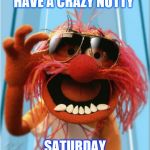 have a crazy nutty saturday | HAVE A CRAZY NUTTY; SATURDAY | image tagged in have a great day,animal,funny meme | made w/ Imgflip meme maker