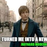 Fantastic Beasts Timesheet Meme | SHE TURNED ME INTO A NEWT! MAYNARD MODERN MEDIA | image tagged in fantastic beasts timesheet meme | made w/ Imgflip meme maker