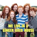 Live in a Ginger Bred House | WE  LIVE  IN  A; GINGER  BRED  HOUSE | image tagged in redhead family,redheads,gingers,gingerbread,funny memes | made w/ Imgflip meme maker