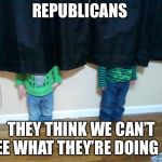 hide and seek | REPUBLICANS; THEY THINK WE CAN’T SEE WHAT THEY’RE DOING 😩 | image tagged in hide and seek | made w/ Imgflip meme maker