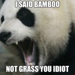 angry panda | I SAID BAMBOO; NOT GRASS YOU IDIOT | image tagged in angry panda,memes | made w/ Imgflip meme maker