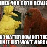 Big Bird And Snuffy | WHEN YOU BOTH REALIZE NO MATTER HOW HOT THE LOVIN IT JUST WON'T WORK OUT | image tagged in memes,big bird and snuffy | made w/ Imgflip meme maker