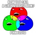I See What You Did There - RGB Color Wheel | HOW YOU CALL A GIRLY VIBRATO ARM? PINK FLOYD | image tagged in i see what you did there - rgb color wheel | made w/ Imgflip meme maker