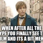 When you hype to early... | WHEN AFTER ALL THE HYPE YOU FINALLY SEE THE FILM AND ITS A BIT MEH... | image tagged in grindelwald,fantastic beasts and where to find them,memes,eddie | made w/ Imgflip meme maker
