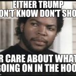 ice cube | EITHER TRUMP DON'T KNOW DON'T SHOW; OR CARE ABOUT WHAT'S GOING ON IN THE HOOD | image tagged in ice cube,donald trump,protest | made w/ Imgflip meme maker
