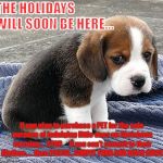 sad puppy | THE HOLIDAYS WILL SOON BE HERE... If you plan to purchase a PET for the sole purpose of indulging little ones on Christmas morning... 
STOP.     If you can't commit to their lifetime..... then PLEASE...SIMPLY TURN AND WALK AWAY. | image tagged in sad puppy | made w/ Imgflip meme maker
