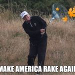 Trump raking | MAKE AMERICA RAKE AGAIN | image tagged in trump raking | made w/ Imgflip meme maker