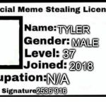 Meme License | TYLER; MALE; 37; 2018; N/A; 2536”916 | image tagged in meme license | made w/ Imgflip meme maker