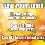 Bright autumn leaves | LEAVE YOUR LEAVES; Plastic garbage bags choke whales; Leaves fertilize trees and grass; Kids like to jump in leaf piles | image tagged in bright autumn leaves | made w/ Imgflip meme maker