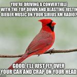 Another crappy tune by Justin Bieber | YOU’RE DRIVING A CONVERTIBLE WITH THE TOP DOWN AND BLASTING JUSTIN BIEBER MUSIC ON YOUR SIRIUS XM RADIO? GOOD. I’LL JUST FLY OVER YOUR CAR AND CRAP ON YOUR HEAD. | image tagged in critical cardinal,memes,justin bieber,convertible,angry birds,crap | made w/ Imgflip meme maker