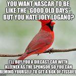 Joey Logano is throwback NASCAR, so stop crying. | YOU WANT NASCAR TO BE LIKE THE “GOOD OLD DAYS”, BUT YOU HATE JOEY LOGANO? I’LL BUY YOU A DIECAST CAR WITH KLEENEX AS THE SPONSOR SO YOU CAN REMIND YOURSELF TO GET A BOX OF TISSUES. | image tagged in critical cardinal,memes,joey logano,nascar,race,kleenex | made w/ Imgflip meme maker