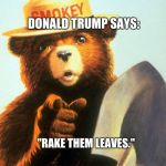 Smokey Bear | DONALD TRUMP SAYS:; "RAKE THEM LEAVES." | image tagged in smokey bear | made w/ Imgflip meme maker