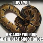 Heart snek | I LOVE YOU; BECAUSE YOU GIVE ME THE BEST SNOOT BOOPS | image tagged in heart snek | made w/ Imgflip meme maker