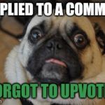 Hopefully he didnt see it | I REPLIED TO A COMMENT; I FORGOT TO UPVOTE IT | image tagged in pug worried,comments,reply,upvote | made w/ Imgflip meme maker