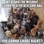 Puppies | WE HEARD THE MELODIC SOUND OF A POTATO CHIP BAG; YOU GONNA SHARE RIGHT? | image tagged in puppies | made w/ Imgflip meme maker