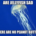 Jellyfish | ARE JELLYFISH SAD; THAT THERE ARE NO PEANUT BUTTER FISH | image tagged in jellyfish | made w/ Imgflip meme maker