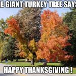 Giant Chicken Tree | THE GIANT TURKEY TREE SAYS... HAPPY THANKSGIVING ! | image tagged in giant chicken tree | made w/ Imgflip meme maker
