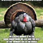 Fat Turkey | SOMETHING'S WRONG.... THE ELDERLY HUMAN IS IN THE BARN SHARPENING HIS AXE AND THE REST OF THE  HUMANS ARE IN THE HOUSE LOOKING AT ME WITH HUNGER IN THEIR EYES | image tagged in fat turkey | made w/ Imgflip meme maker