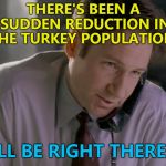 The Truth Is Out There (and it's delicious...) | THERE'S BEEN A SUDDEN REDUCTION IN THE TURKEY POPULATION? I'LL BE RIGHT THERE... | image tagged in x files mulder on phone,memes,thanksgiving,turkeys,tv,food | made w/ Imgflip meme maker