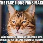 Catch the dang ball Lions | THE FACE LIONS FANS MAKE; WHEN MATTHEW STAFFORD’S FOOTBALL HITS A WIDE RECEIVER’S HELMET INSTEAD OF HIS HANDS. | image tagged in that face you make eyeroll cat,memes,nfl football,quarterback,pass,hands | made w/ Imgflip meme maker