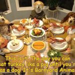 Thanksgiving | This is it! The day you can eat turkey like a pig until you're sick as a dog! It's Barnyard Animal Day! | image tagged in dog thanksgiving,thankful | made w/ Imgflip meme maker