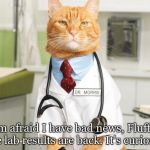 Cat Doctor | I'm afraid I have bad news, Fluffy. The lab results are back. It's curiosity. | image tagged in cat doctor | made w/ Imgflip meme maker