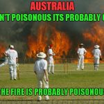 Throw away submission. Upvoting it maybe be poisonous  | AUSTRALIA; IF IT ISN'T POISONOUS ITS PROBABLY ON FIRE; AND THE FIRE IS PROBABLY POISONOUS TOO | image tagged in australia,crickett | made w/ Imgflip meme maker