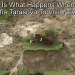 New Zealand Earthquake Cows/2016 Cows | This Is What Happens When You Invite Sofia Tarasova To Visit New Zealand | image tagged in new zealand earthquake cows/2016 cows,new zealand,ukraine,jesc 2013 memes,junior eurovision meme | made w/ Imgflip meme maker