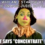 If she only had a brain.... | WHY AM I STARING AT THE ORANGE JUICE BOTTLE ? IT SAYS "CONCENTRATE" !! | image tagged in cortez | made w/ Imgflip meme maker