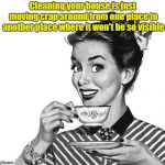 Let's Clean House! | Cleaning your house is just moving crap around from one place to another place where it won't be so visible | image tagged in retro woman teacup,house cleaning,memes | made w/ Imgflip meme maker