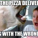 Derp | WHEN THE PIZZA DELIVERY GUY; COMES WITH THE WRONG PIZZA | image tagged in intruding llama | made w/ Imgflip meme maker