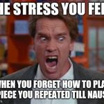 I need to catch back my memories... | THE STRESS YOU FEEL; WHEN YOU FORGET HOW TO PLAY A PIECE YOU REPEATED TILL NAUSEA | image tagged in stress | made w/ Imgflip meme maker
