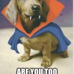 vampire dachshund | WHEN PEOPLE SAY; ARE YOU TOO OLD FOR HALLOWEEN? | image tagged in vampire dachshund | made w/ Imgflip meme maker