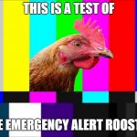 This is for all chickens | THIS IS A TEST OF; THE EMERGENCY ALERT ROOSTER | image tagged in emergency broadcast,rooster,funny,alert system | made w/ Imgflip meme maker