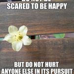 Sereia''s template | DO NOT BE SCARED TO BE HAPPY; BUT DO NOT HURT ANYONE ELSE IN ITS PURSUIT | image tagged in sereia''s template | made w/ Imgflip meme maker