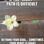 Sereia''s template | IF THE "RIGHT" PATH IS DIFFICULT; RETHINK YOUR GOAL....
SOMETIMES YOUR HEART IS RIGHT | image tagged in sereia''s template | made w/ Imgflip meme maker