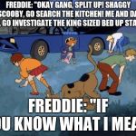 Scooby Doo Search | FREDDIE: "OKAY GANG, SPLIT UP! SHAGGY AND SCOOBY, GO SEARCH THE KITCHEN! ME AND DAPHNE WILL GO INVESTIGATE THE KING SIZED BED UP STAIRS."; FREDDIE: "IF YOU KNOW WHAT I MEAN" | image tagged in scooby doo search | made w/ Imgflip meme maker