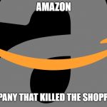 Amazon Logo | AMAZON; THE COMPANY THAT KILLED THE SHOPPING MALL | image tagged in amazon logo | made w/ Imgflip meme maker