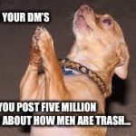 Chihuahua praying  | GUYS IN YOUR DM’S; AFTER YOU POST FIVE MILLION MEMES ABOUT HOW MEN ARE TRASH... | image tagged in chihuahua praying | made w/ Imgflip meme maker