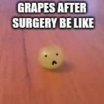 grape | GRAPES AFTER SURGERY BE LIKE | image tagged in grape | made w/ Imgflip meme maker