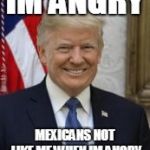 trump | IM ANGRY; MEXICANS NOT LIKE ME WHEN IM ANGRY | image tagged in trump | made w/ Imgflip meme maker
