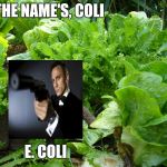 Coli, E. Coli | THE NAME'S, COLI; E. COLI | image tagged in killer lettuce,romaine,e coli,james bond,nsfe,not safe for eating | made w/ Imgflip meme maker