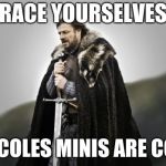 ned stark wide | BRACE YOURSELVES... MORE COLES MINIS ARE COMING | image tagged in ned stark wide | made w/ Imgflip meme maker