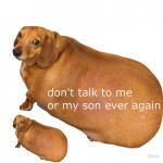 Don't talk to me or my son ever again meme