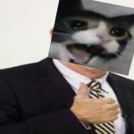 Voiceover Pete the Cat meme