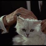 James Bond Cat