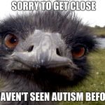 Emu face | SORRY TO GET CLOSE; I HAVEN'T SEEN AUTISM BEFORE | image tagged in emu face | made w/ Imgflip meme maker